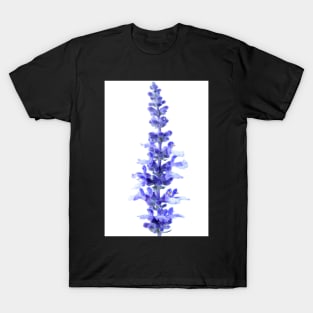 Salvia farinacea  &#39;Fairy Queen&#39;  Sage T-Shirt